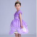 Kinder Prinzessin Kleidung Baby Cartoon custome cosplay Kleider Mädchen Bell Prinzessin Party Kleider